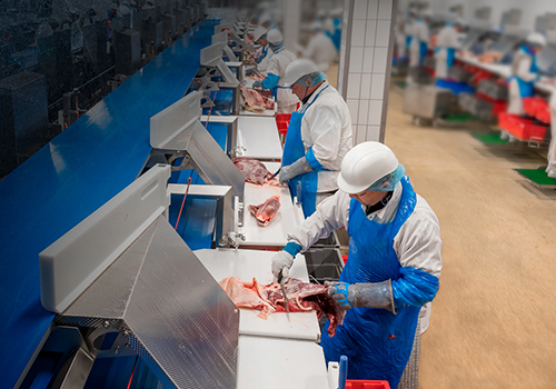 Les engagements de la marque Elivia PROFESSIONNELS pour donner le meilleur du bœuf sont le soutien de la filière locale, la valorisation de la filière bovine, l'accessibilité et une alimentation saine et équilibrée.